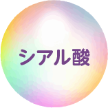 シアル酸
