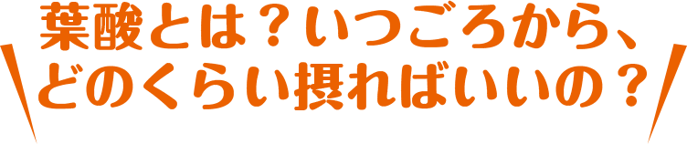 葉酸とは？いつごろから、どのくらい摂ればいいの？