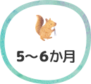 5～6か⽉