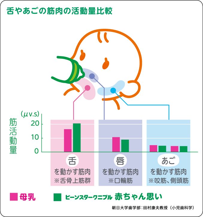 舌やあごの筋肉の活動量比較