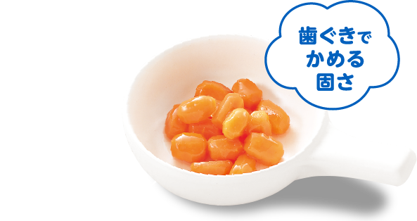 12か月12か月歯ぐきでかめる固さ