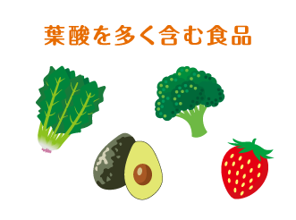 葉酸を多く含む食品のイラスト