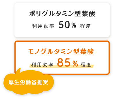 葉酸の種類についての画像