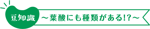 豆知識~葉酸にも種類がある!?~