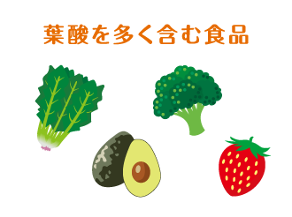 葉酸を多く含む食品のイラスト