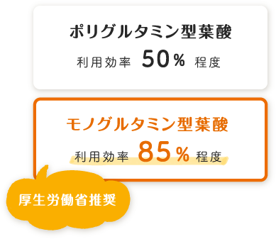 葉酸の種類についての画像