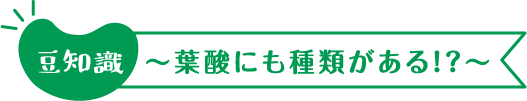 豆知識~葉酸にも種類がある!?~