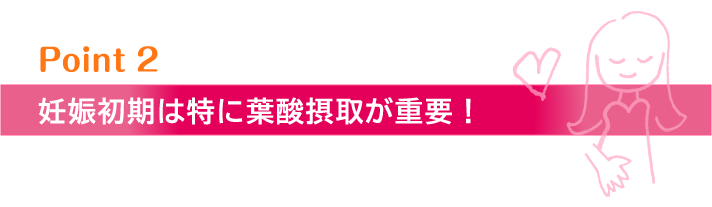 妊娠初期は特に葉酸摂取が重要！