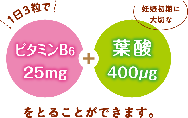 １日３粒で妊娠初期に大切なビタミンB625mg+葉酸400μgをとることができます。