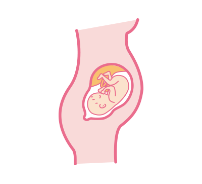 胎動 妊娠6ヶ月 胎動はいつから分かる？どんな感じ？ [妊娠中期]