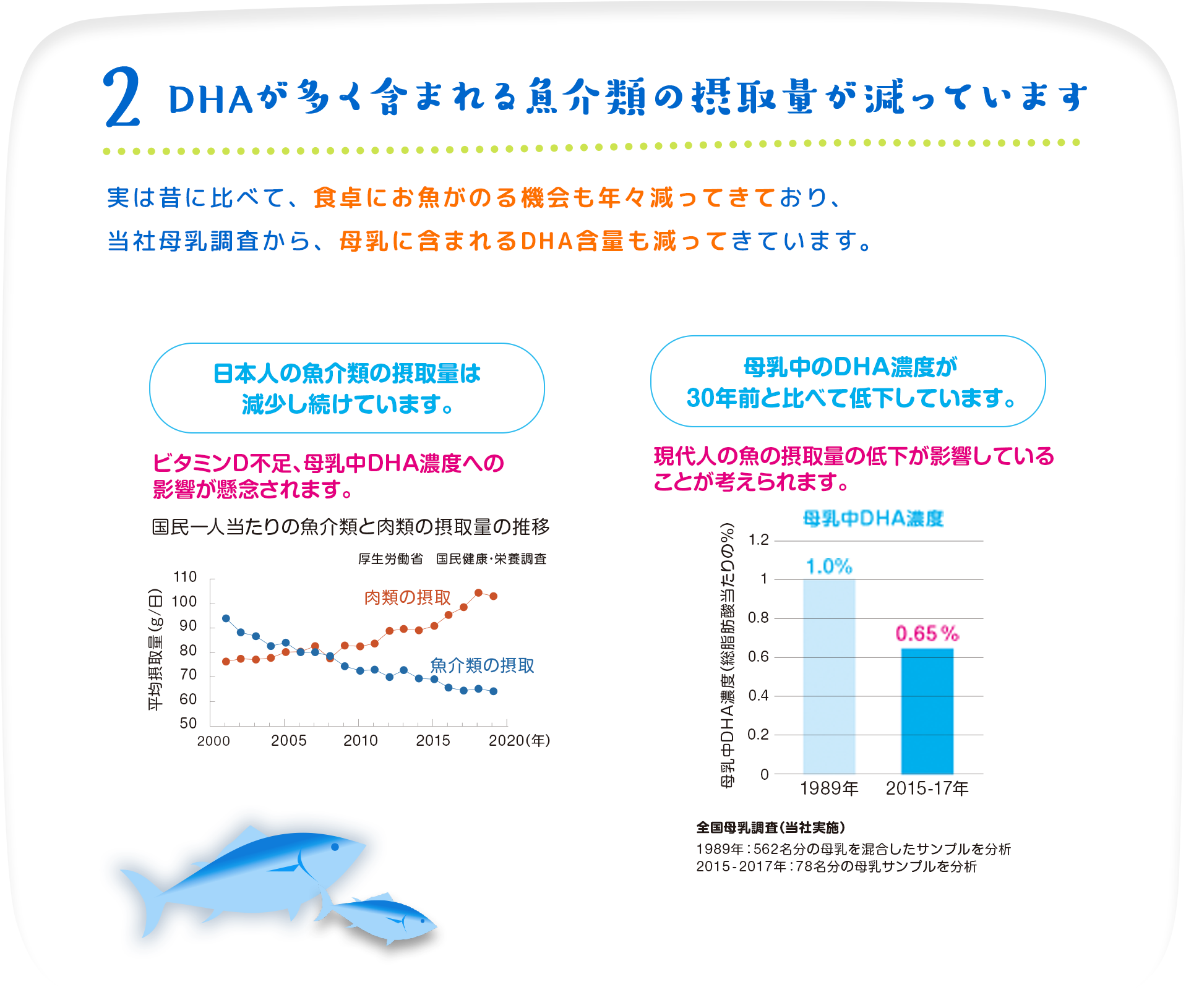 2 DHAが多く含まれる魚介類の摂取量が減っています
