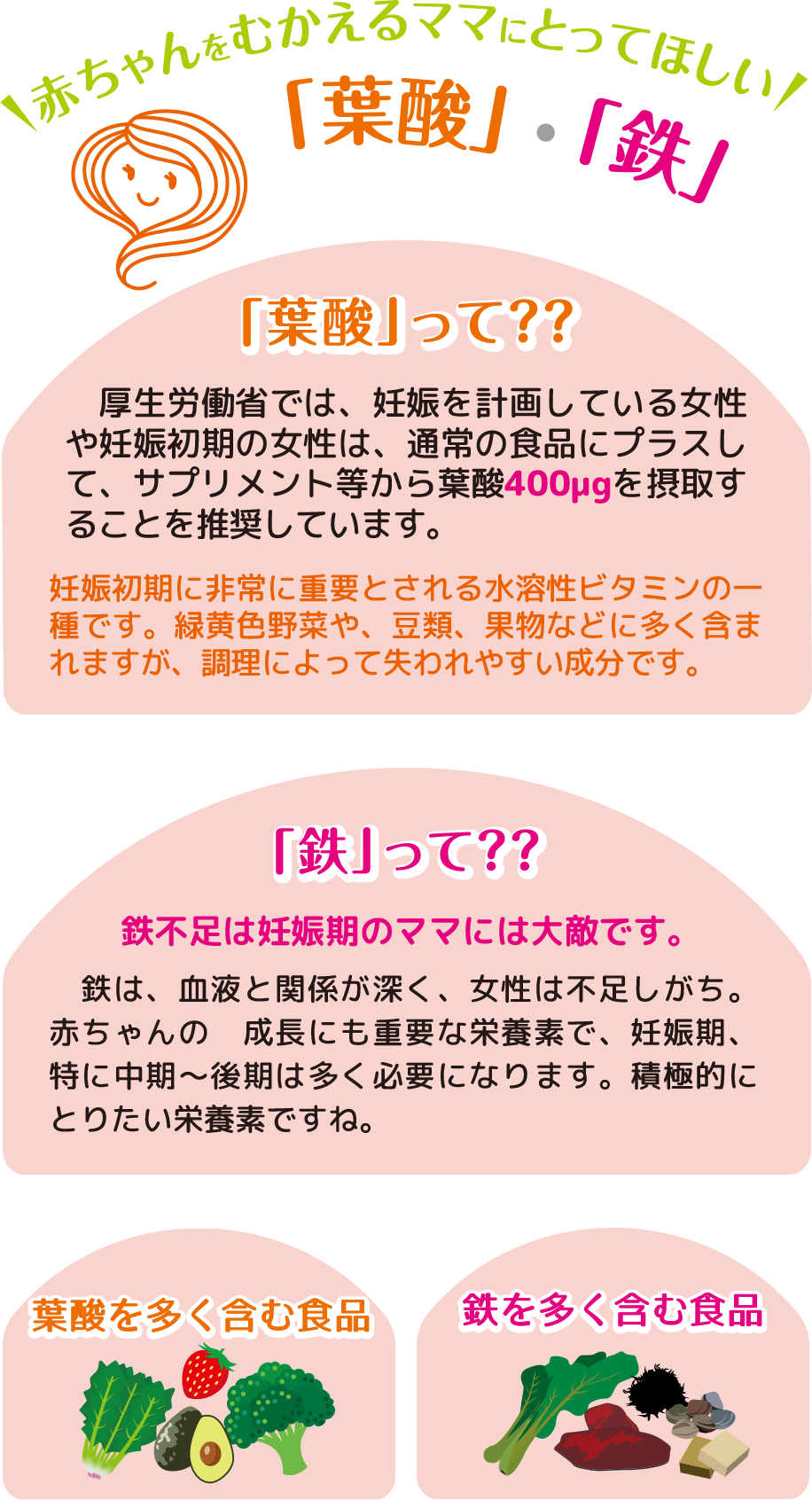 赤ちゃんをむかえるママにとって欲しい！「葉酸」・「鉄」