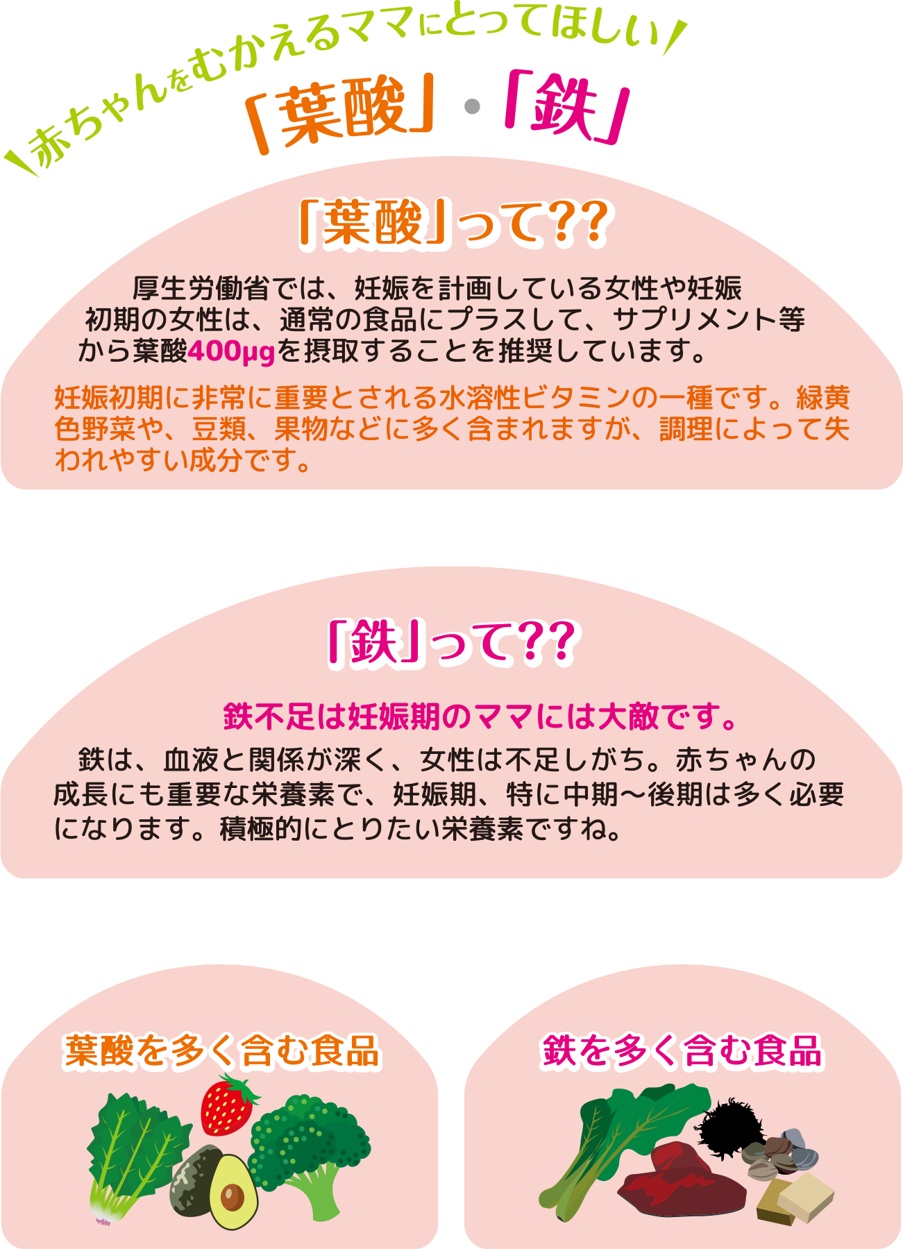 赤ちゃんをむかえるママにとって欲しい！「葉酸」・「鉄」